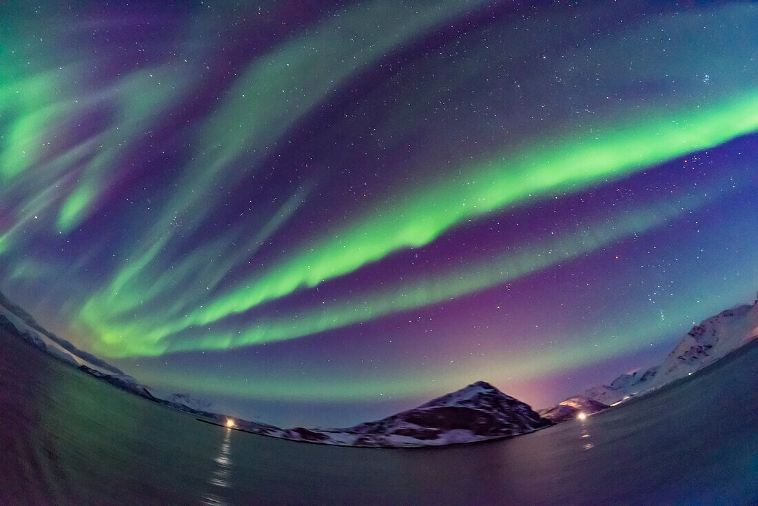 Polarlichtvorhänge in der Dämmerung am 14. März 2018 auf See nördlich von Tromsø, Norwegen, auf dem Hurtigruten-Schiff m/s Nordnorge, wobei die Vorhänge eine violette Färbung des Himmelshintergrunds aufweisen, wahrscheinlich durch die Vermischung von blauem Sonnenlicht mit den roten Sauerstofffarben.