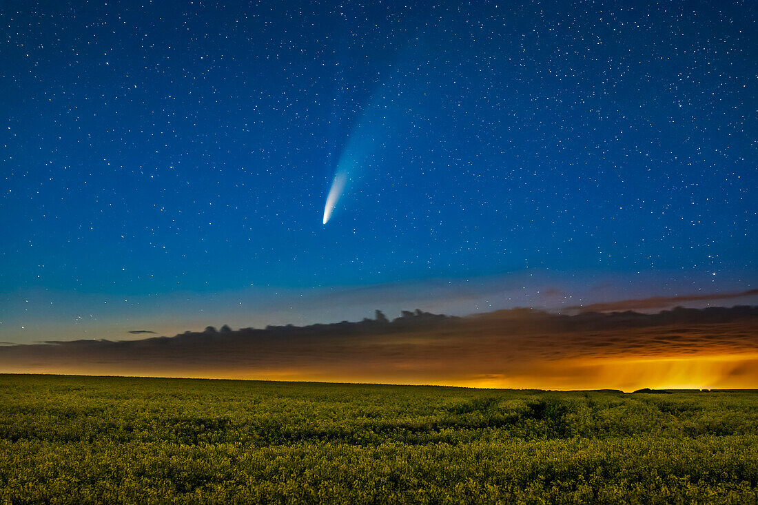 Komet NEOWISE (C/2020 F3) über einem reifenden Rapsfeld in der Nähe des Wohnortes in Süd-Alberta, in der Nacht vom 15. zum 16. Juli 2020. Lichtverschmutzung durch ein nahegelegenes Gaswerk, das von tief hängenden Wolken reflektiert wird, und ein Regenschauer sorgen für das Gelb auf der rechten Seite.