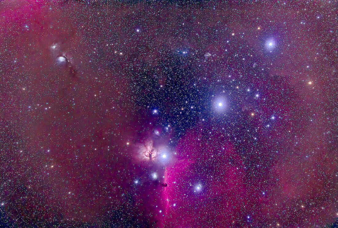 The Belt of Orion with the Horsehead Nebula at botton, the dark nebula set in the bright emission nebula IC 434. The nebula at left of the Zeta Orionis (aka Alnitak) is the Flame Nebula, NGC 2024. The reflection nebula at upper left is the M78 complex with NGC 2071. The other Belt stars are Alnilan (centre) and Mintaka (upper right). The field contains a wealth of other blue reflection and red emission nebulas.