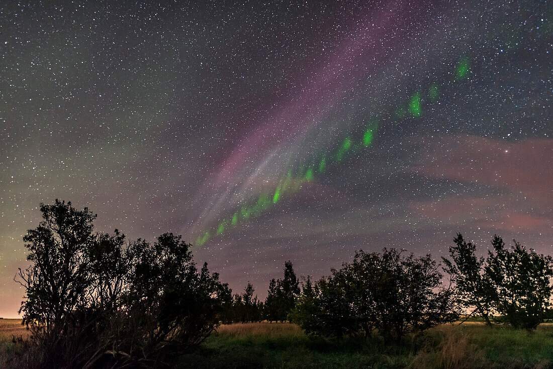 Ein isolierter Polarlichtbogen im Südosten am 2. September 2016, aufgenommen von zu Hause aus während einer schönen Anzeige mit aktiven Vorhängen im Norden. Dieses Bild zeigt die klassische Lattenzaun-Erscheinung mit grünen Aurora-Fingern, die sich während eines Zeitraffers der Szene entlang des Bandes bewegen.