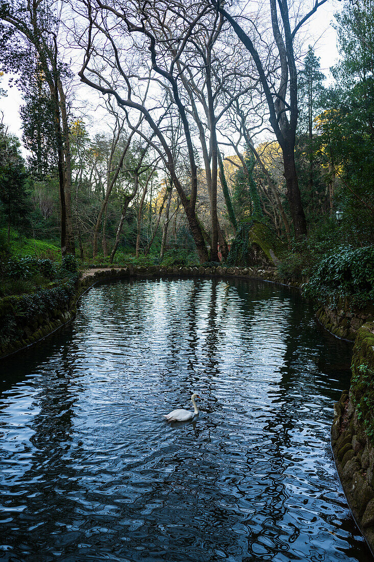 Tal der Seen und kleiner Vogelbrunnen im Park und Nationalpalast von Pena (Palacio de la Pena), Sintra, Portugal