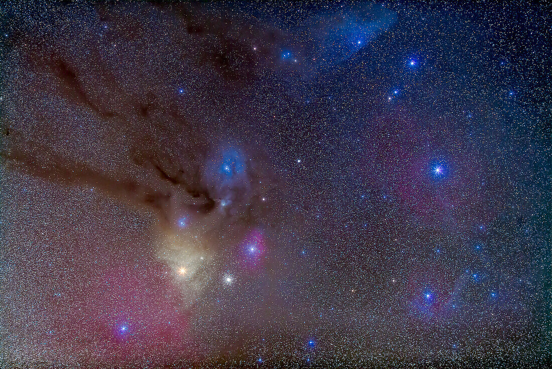 Das Gebiet um den Kopf des Skorpions, einschließlich des hellen Sterns Antares unten links in der Mitte und der dunklen Gassen, die zum Stern Rho Ophiuchi führen. Das Gebiet ist mit farbenprächtigen Nebeln gefüllt, darunter gelbe und blaue Reflexionsnebel und magentafarbene Emissionsnebel. Rechts von Antares ist der Kugelsternhaufen Messier 4 zu sehen. Das Feld ähnelt dem, was man mit einem Fernglas sehen würde.