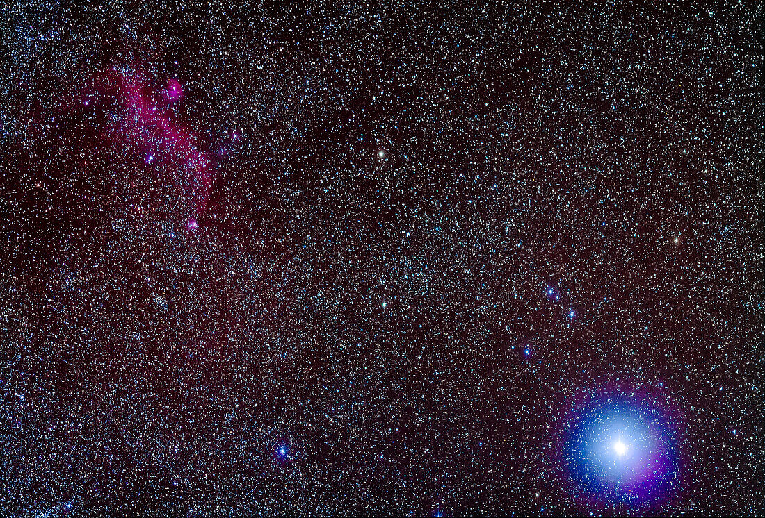 Das Gebiet in der Nähe von Sirius (unten rechts) einschließlich des Möwennebels (oben links), auch IC 2177 genannt, an der Grenze zwischen Canis Major und Monoceros.