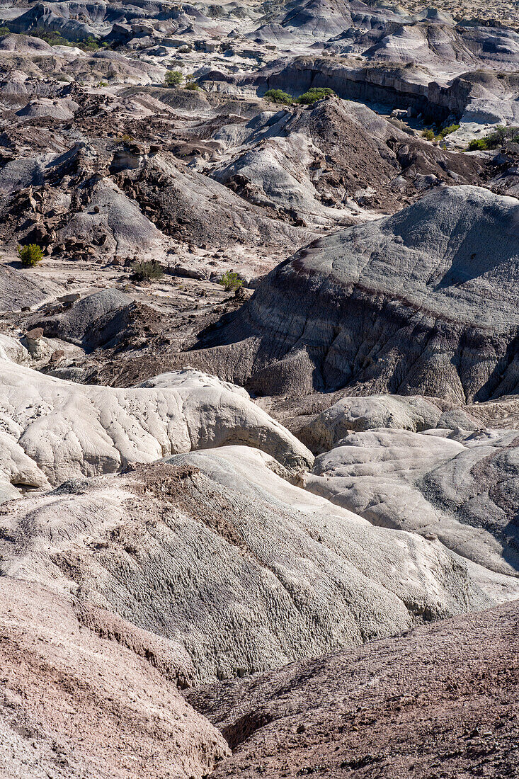 Die karge Landschaft des Tals des Mondes oder Valle de la Luna im Ischigualasto Provincial Park in der Provinz San Juan, Argentinien.