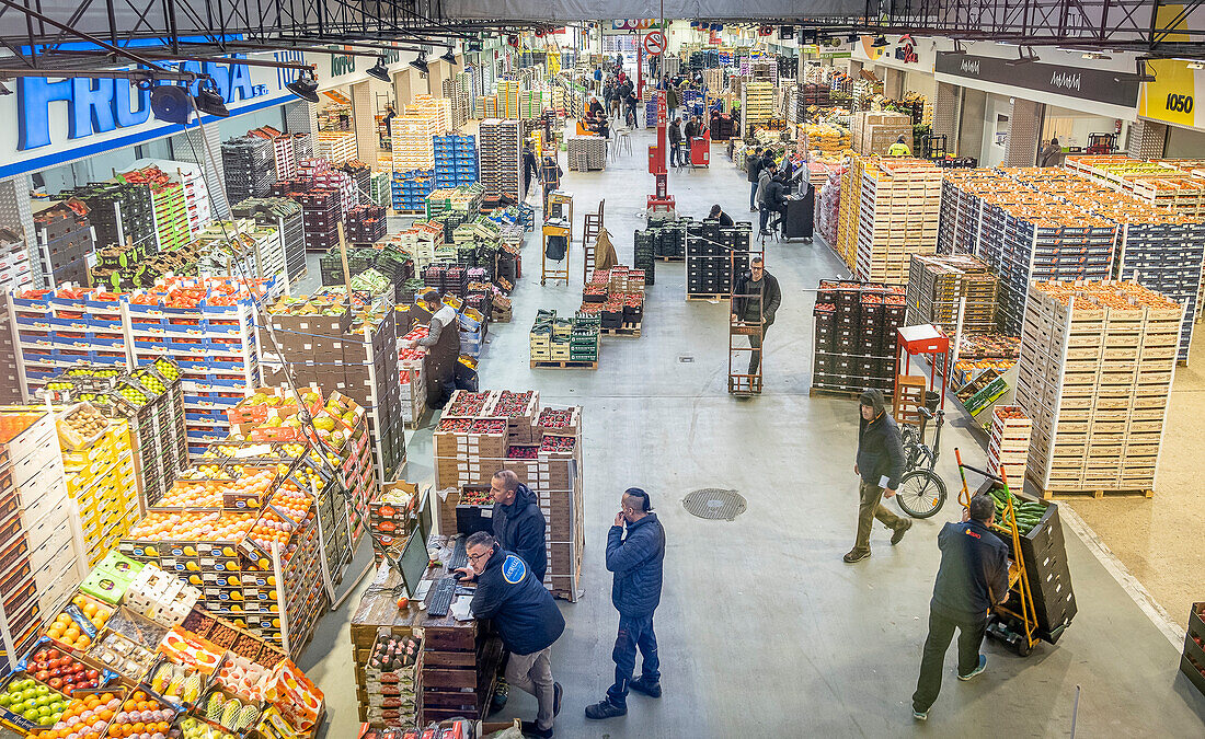 Abteilung für Obst und Gemüse in der Mercabarna. Barcelonas zentrale Märkte. Barcelona. Spanien