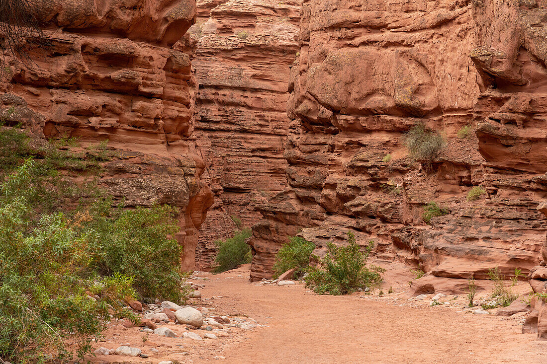 Erodierte Sandsteinschichten in der Shimpa-Schlucht im Talampaya-Nationalpark, Provinz La Rioja, Argentinien.