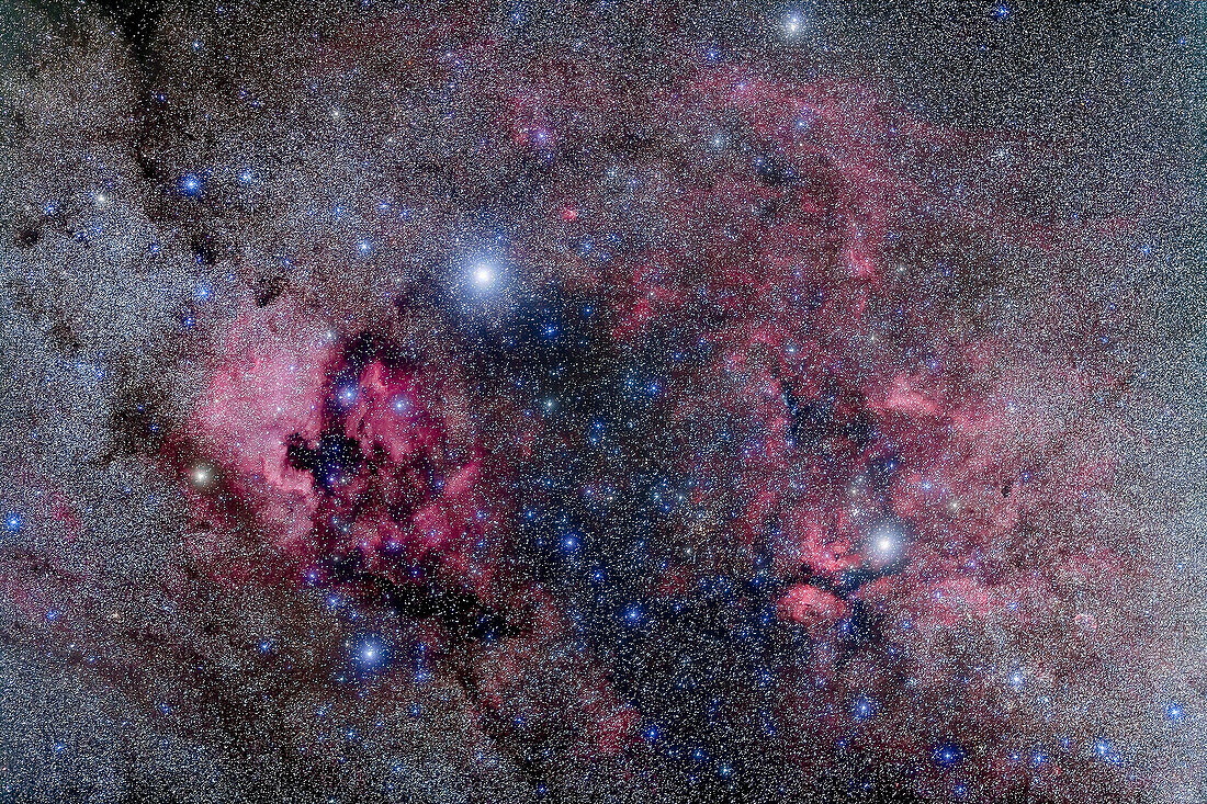 Nebel im Herzen von Cygnus, dem Schwan, mit dem Nordamerikanebel und dem Pelikannebel links (NGC 7000 und IC 5070) und dem Gamma Cygni-Komplex rechts (IC 1318). Der Halbmondnebel (NGC 6888) befindet sich unten rechts. Dies ist ein Stapel von 5 x 4 Minuten Belichtung bei f/2 mit dem 135mm Objektiv und der modifizierten Canon 5D MkII bei ISO 800, plus drei weitere Bilder mit ähnlicher Belichtung, aber durch den Kenko Softon Filter für das Sternenglühen aufgenommen. Aufgenommen von zu Hause aus am 10. September 2013.