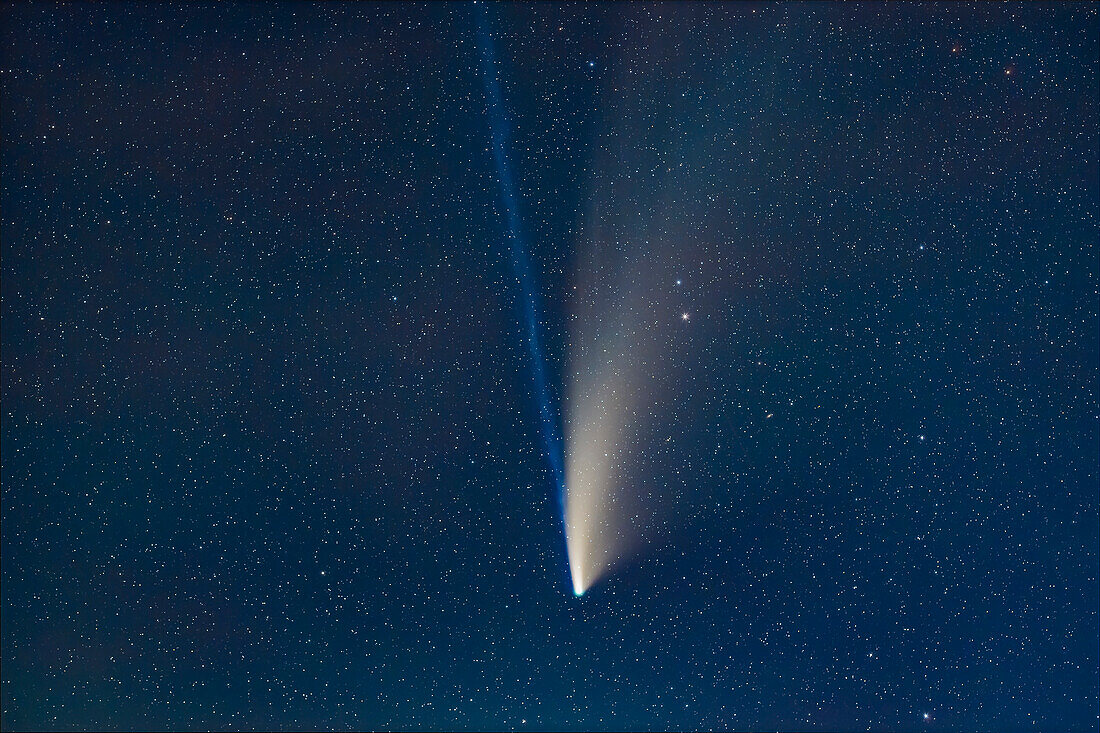 Komet NEOWISE (C/2020 F3) in einer Nahaufnahme mit Teleobjektiv am 19. Juli 2020, die den geraden blauen Ionenschweif und den gebogenen weißlich-gelben Staubschweif zeigt. Sogar der Ionenschweif war im Fernglas sichtbar und über etwa 12° oder zwei Binokularfelder hinweg zu verfolgen. Um den Kometenkopf herum ist ein wenig Cyan zu erkennen. Rechts neben dem Kometen ist die Galaxie NGC 2841 in der neunten Größenklasse zu sehen.