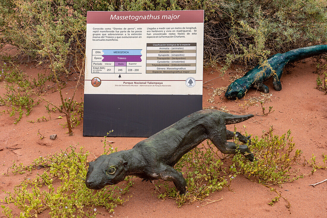 Ein Modell eines Massetognathus major auf dem Triassic Trail im Talampaya National Park, Argentinien.