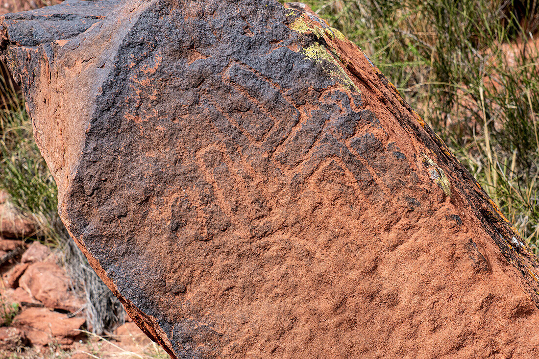 Prähispanische indigene Felszeichnungen oder Petroglyphen im Nationalpark Talampaya, Provinz La Rioja, Argentinien.