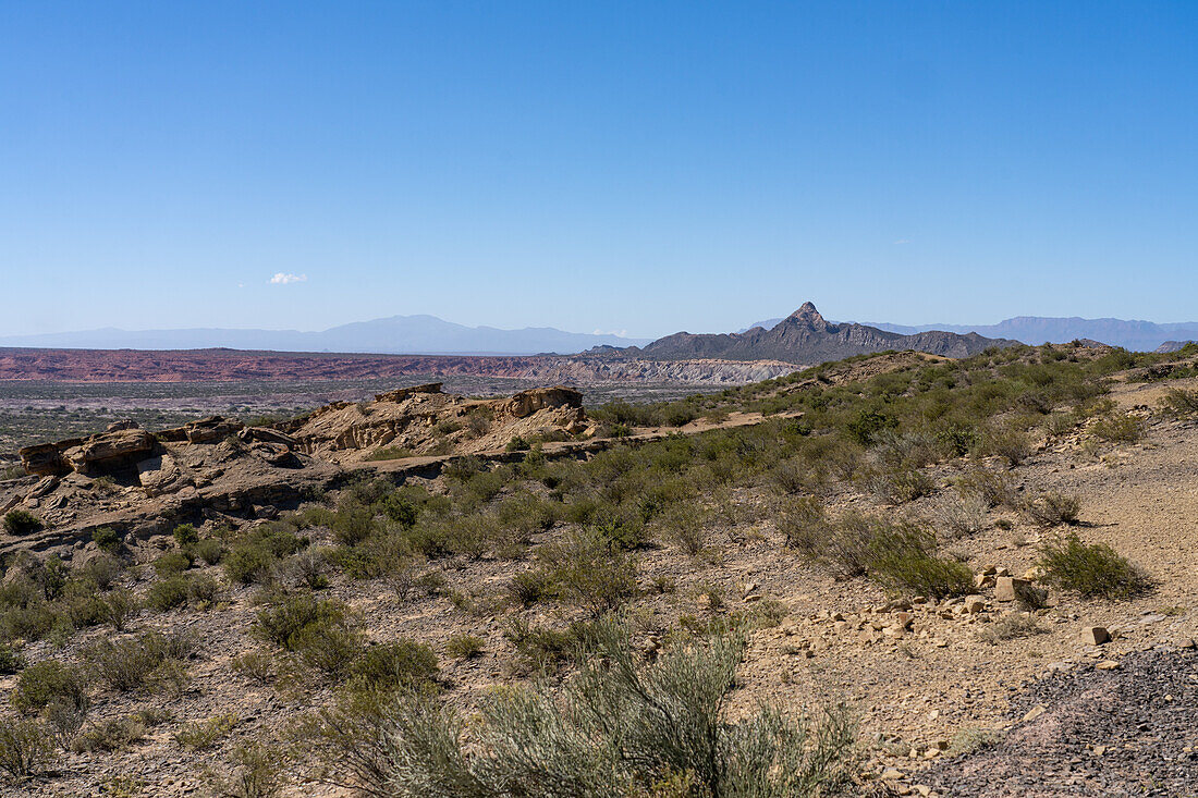 Die Wüstenlandschaft im Ischigualasto Provincial Park in der Provinz San Juan, Argentinien.