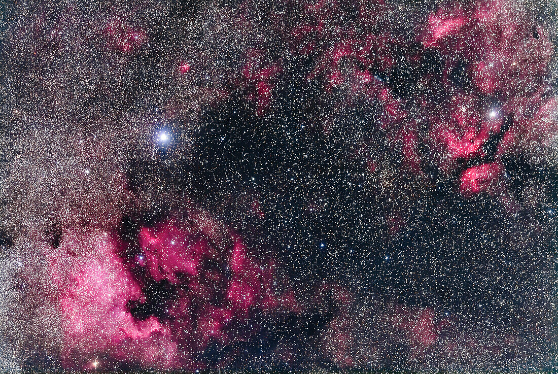 Emission nebulas in northern and central Cygnus, including the North America Nebula (NGC 7000) at lower left and the Gamma Cygni complex (IC 1318) at upper right. Deneb is the bright star at left, while Gamma Cygni itself is at upper right.