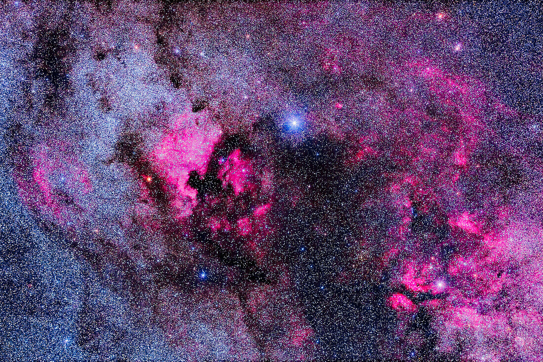 The main complex of nebulosity in Cygnus, taken with a telephoto lens taking in a wide field of 15° by 10°.