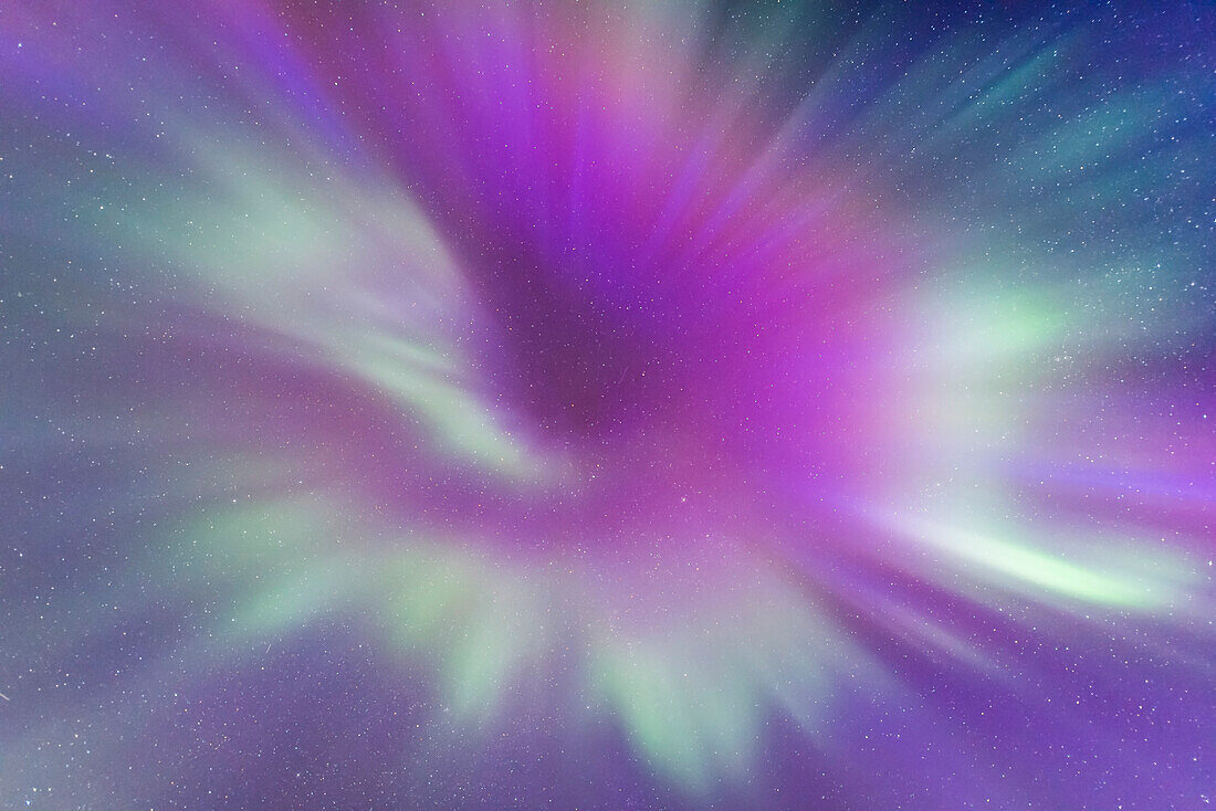 Auroral curtains converge at the zenith in the evening twilight during a Kp Index 7 night of aurora in Churchill, Manitoba. Blue twilight adds the blue tints to the sky and curtains.