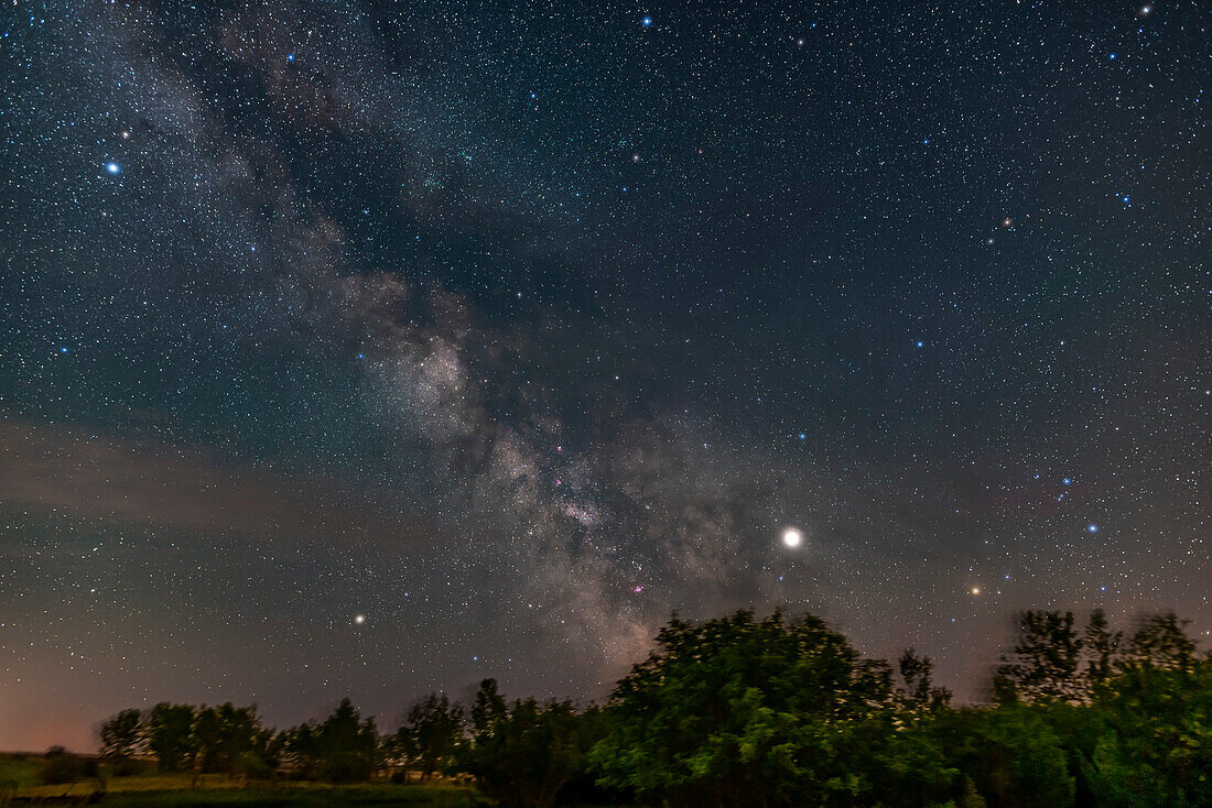 The summer constellations of Sagittarius and Scorpius skimming low across the south from my latitude of 51° N, above the trees from my backyard site in rural Alberta.