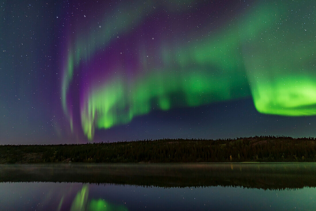 The fine colours of the aurora in the darkening twilight over Madeline Lake, near Yellowknife, September 7, 2019, with autumn colours on the trees on the far shore. The Big Dipper is at left.