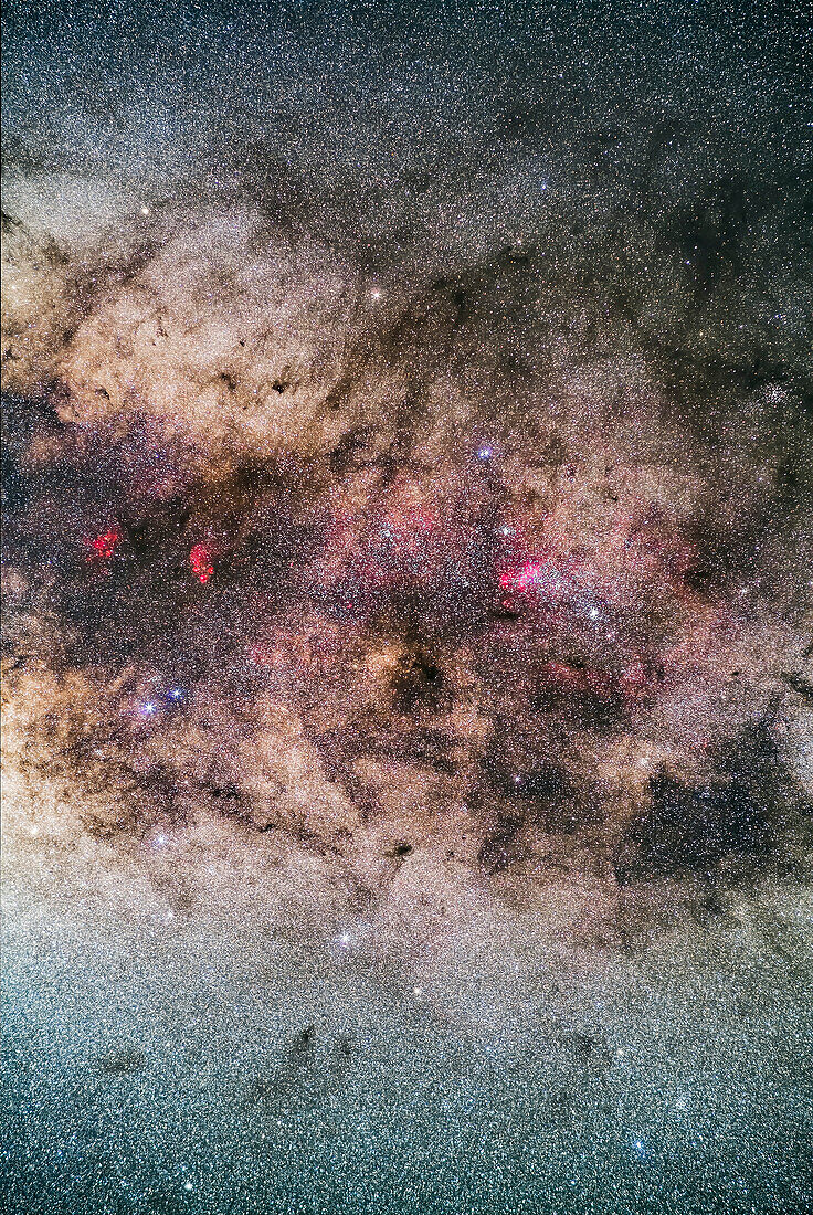 The tail of Scorpius, photographed with it high in the sky from Australia. The frame is oriented with the Milky Way running horizontally and the hook of the tail vertically.