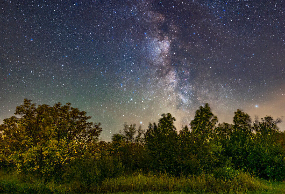 Die sommerliche Milchstraße und das galaktische Kerngebiet im Sternbild Schütze an einem Spätsommerabend Mitte September, an dem einige der Blätter beginnen, sich herbstlich zu färben. Die dünne Wolke am Himmel in dieser Nacht hat das natürliche Leuchten der Sterne verstärkt. Dies geschah von zu Hause in Süd-Alberta bei 51° nördlicher Breite.