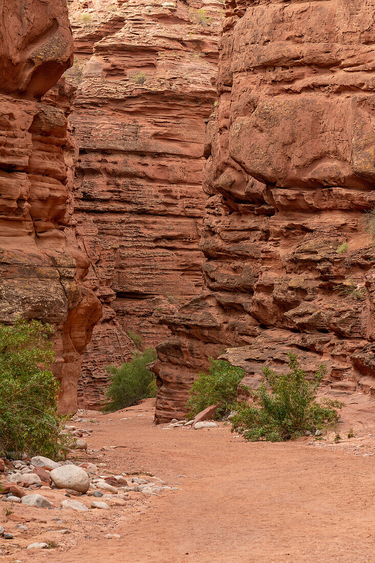 Erodierte Sandsteinschichten in der Shimpa-Schlucht im Talampaya-Nationalpark, Provinz La Rioja, Argentinien.