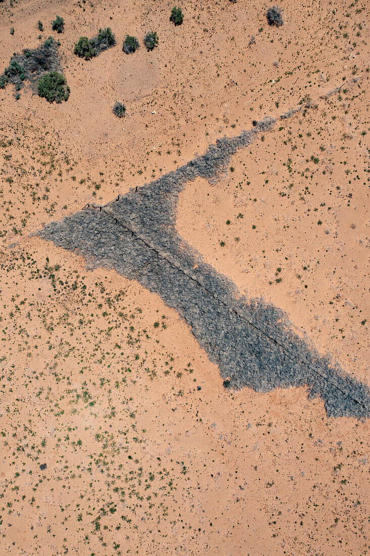 Abgestorbene Tumbleweeds, Russische Distel, an einer Zaunlinie einer Ranch in der San Rafael-Wüste in Utah gefangen.