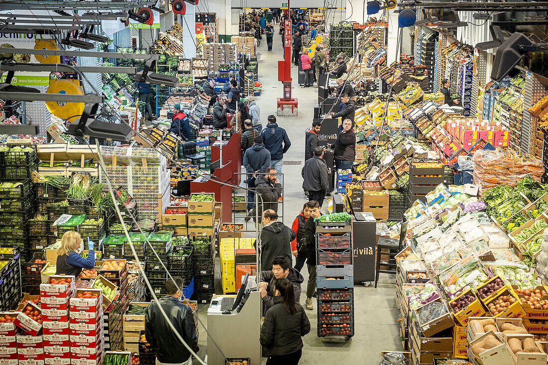 Fruit and Vegetable section, in Mercabarna. Barcelona´s Central Markets. Barcelona. Spain