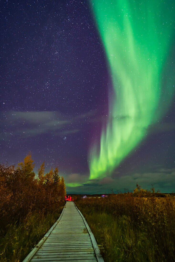 A aurora group is taking their aurora selfie shots on the boardwalk at Rotary Park in Yellowknife, NWT, under a grand sweep of an auroral arc. This was September 11, 2018 under a mild display of Lights. Illumination is from the aurora and from urban lighting nearby.