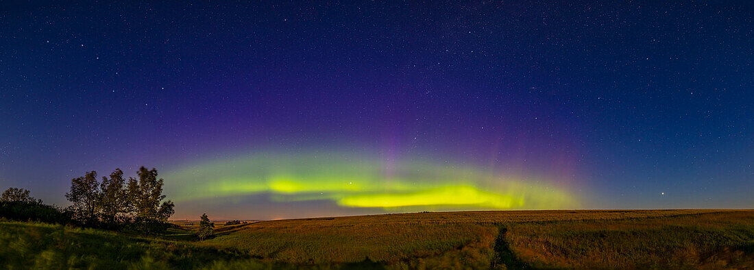 An arc of a Kp-5 aurora over a wheatfield from home in southern Alberta. The panorama takes in the northern stars, from the Big Dipper and Ursa Major at left, to the W of Cassiopeia at top right of centre, with Perseus below Cassiopeia, and Andromeda and Pegasus at right. Moonlight from the waxing gibbous Moon low in the southwest illuminates the scene. Jupiter is rising at far right low in the southeast. This was taken when the display was at its most active. An hour later as it was fading STEVE appeared in a fabulous show.