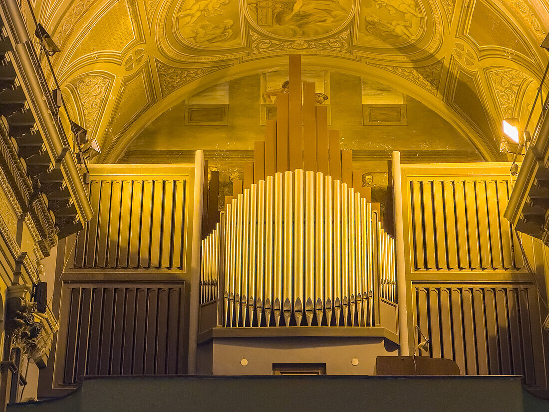 Die Pfeifenorgel und die bemalte Decke des Kirchenschiffs der reich verzierten Kathedrale der Unbefleckten Empfängnis in San Luis, Argentinien.