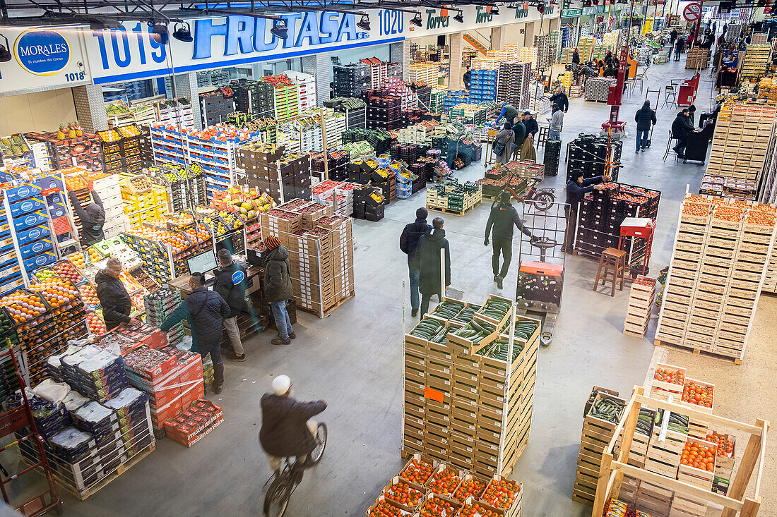 Fruit and Vegetable section, in Mercabarna. Barcelona´s Central Markets. Barcelona. Spain