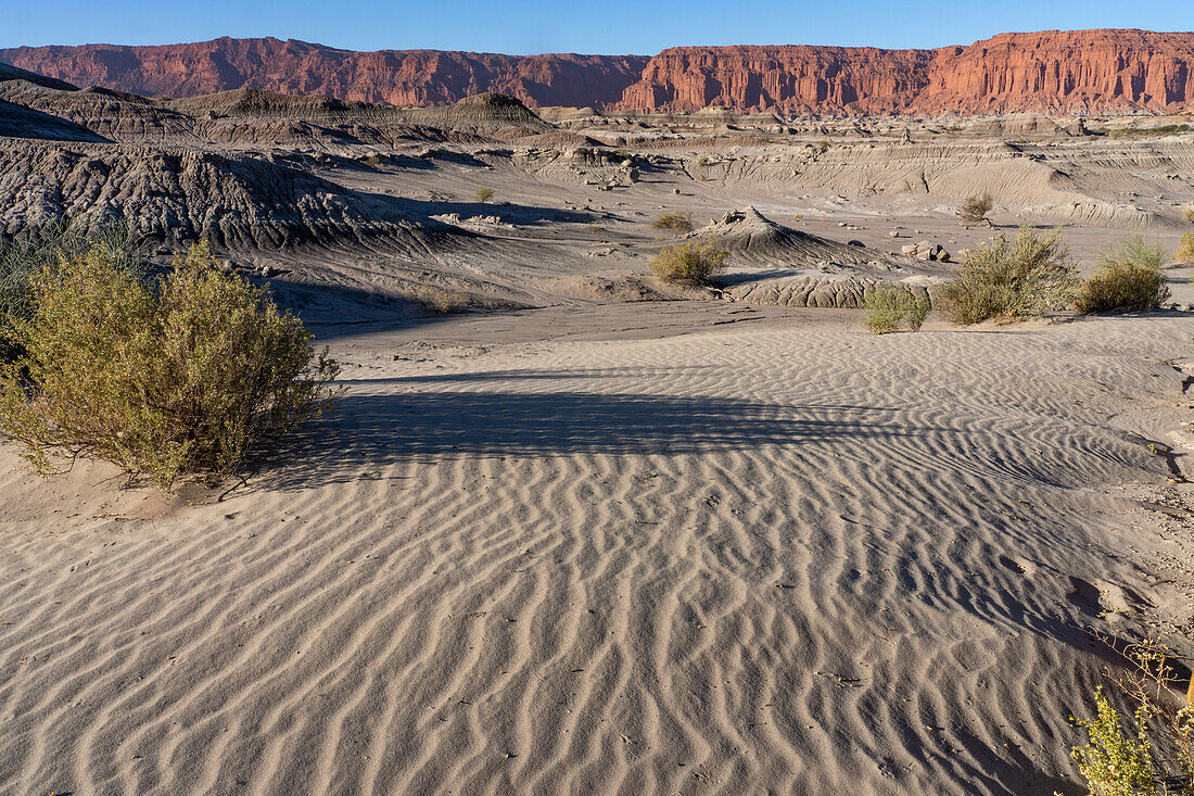 Ripples in the sand dunes in the barren landscape in Ischigualasto Provincial Park in San Juan Province, Argentina.