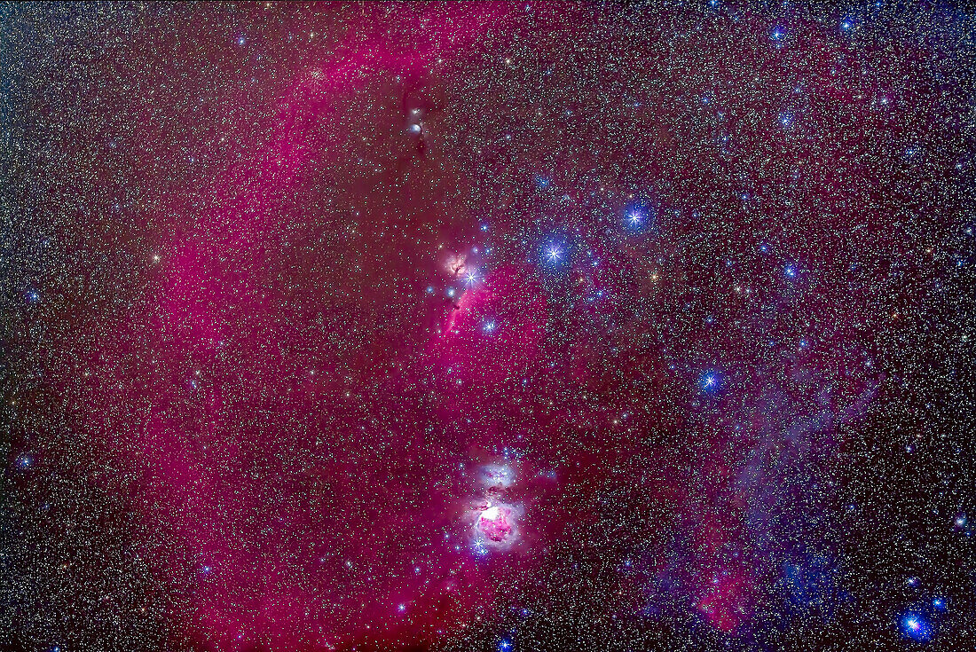 Die Nebel des Orion im Gebiet des Gürtels und des Schwertes des Orion. Dazu gehören M42, Orionnebel 9unten in der Mitte), Barnards Loop (links), M78 (kleiner Reflexionsnebel über der Mitte), Pferdekopfnebel (Mitte) und NGC 2024 (über dem Pferdekopf). Rechts ist ein schwacher Reflexionsnebel zu sehen - das Bild reicht nicht weit genug nach rechts, um den Witchhead-Nebel bei Rigel zu zeigen.