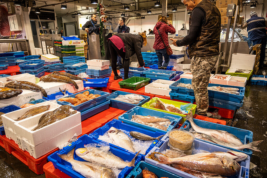 Fisch- und Meeresfrüchteabteilung in der Mercabarna. Barcelonas zentrale Märkte. Barcelona. Spanien