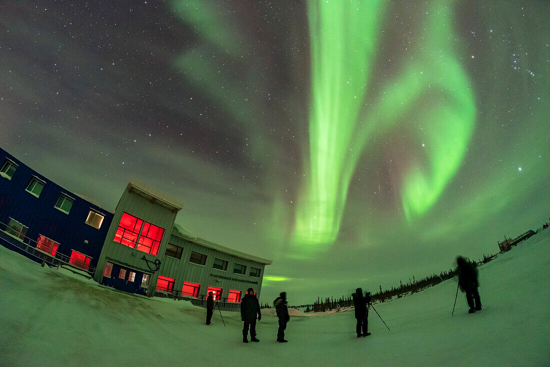 Gäste des Learning Vacations-Programms im Churchill Northern Studies Centre betrachten das Polarlicht in ihrer ersten Nacht des Programms 2019 am 31. Januar. Der Blick geht nach Osten, mit dem Großen Wagen links und dem Orion auf der rechten Seite.