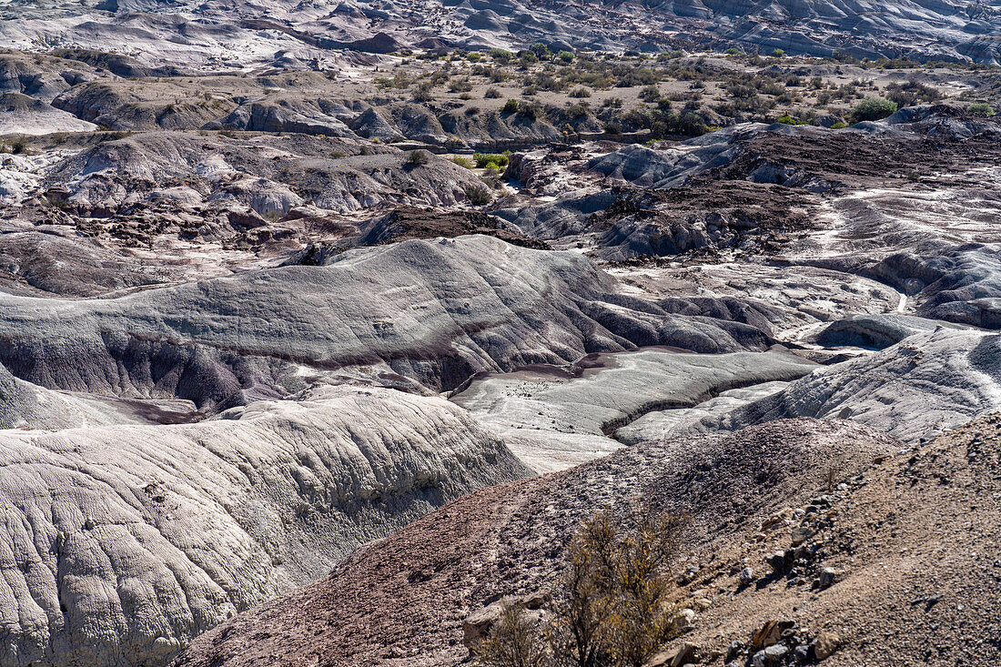 The barren landscape of the Valley of the Moon or Valle de la Luna in Ischigualasto Provincial Park in San Juan Province, Argentina.