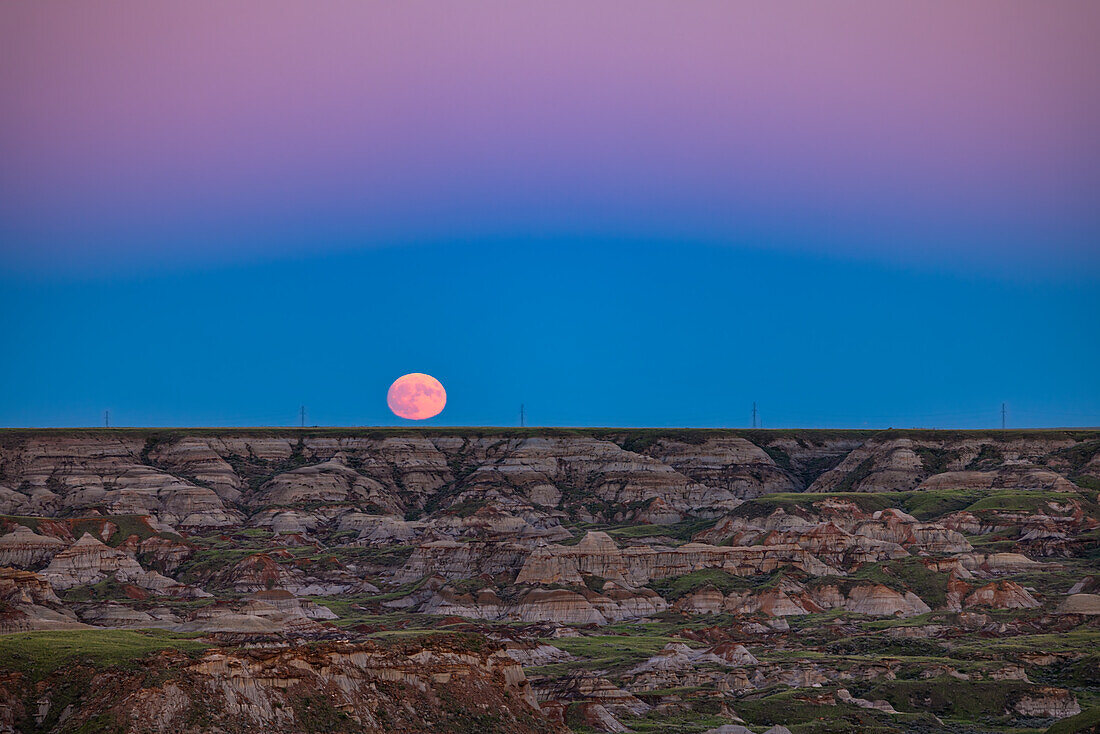 Der aufgehende "Supermond" vom 12. Juli 2022, eingebettet in den blauen Bogen des Erdschattens, umrahmt vom rosafarbenen Band des Venusgürtels in der Dämmerung, über den Badlands-Formationen des Dinosaur Provincial Park am Red Deer River in Alberta, Kanada. Das blaue Band am Horizont ist der Schatten der Erde, der auf die Atmosphäre gegenüber dem Sonnenuntergangspunkt geworfen wird. Der rosafarbene Gürtel der Venus oberhalb des Schattens stammt von rotem Sonnenlicht, das noch in der oberen Atmosphäre leuchtet. Dieser Effekt hält nur wenige Minuten bei Sonnenuntergang oder Sonnenaufgang an und 