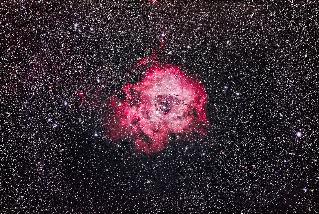 The Rosette Nebula (aka NGC 2237) in Monoceros, an emission nebula and site of star formation in the Orion Arm of the Milky Way. The star cluster at the centre of the nebula is NGC 2244.