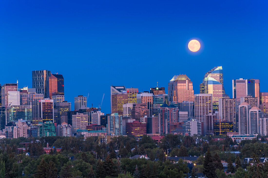 Der Vollmond vom 31. Juli 2015, ein berüchtigter blauer Mond, der zweite Vollmond im Juli, der über der Skyline von Calgary, Alberta, aufgeht. Dies ist ein Bild aus einer Zeitraffersequenz mit 480 Bildern, aufgenommen mit der Canon 60Da und dem 28-105mm Objektiv. Der Standort war Toronto Crescent.