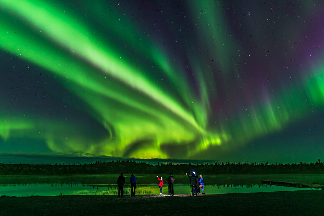 A group of aurora tourists take their aurora selfies at Prosperous Lake, near Yellowknife, NWT, a popular spot on the Ingraham Trail for aurora watching. This is looking west during a bright outbreak in the display this night, which previously had been just a dull wash over the sky. This was about 1:15 a.m. MDT.