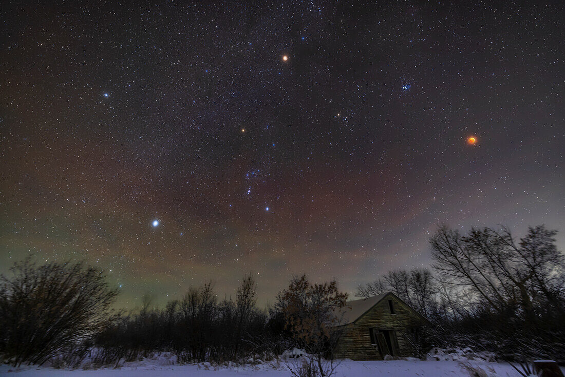 Eine Weitwinkelansicht der totalen Mondfinsternis vom 8. November 2022, mit dem roten Mond rechts inmitten der Sterne des nördlichen Winterhimmels und der Milchstraße, sowie mit dem hellroten Mars oben. Oberhalb und links des Mondes befindet sich der blaue Sternhaufen der Plejaden, während sich darunter und links davon der größere Sternhaufen der Hyaden mit dem rötlichen Aldebaran im Stier befindet. Die Sterne des Orion befinden sich links von der Mitte, einschließlich des rötlichen Betelgeuse, während sich ganz links die beiden Hundssterne befinden: Procyon, oben, in Canis Minor, und Sirius, 