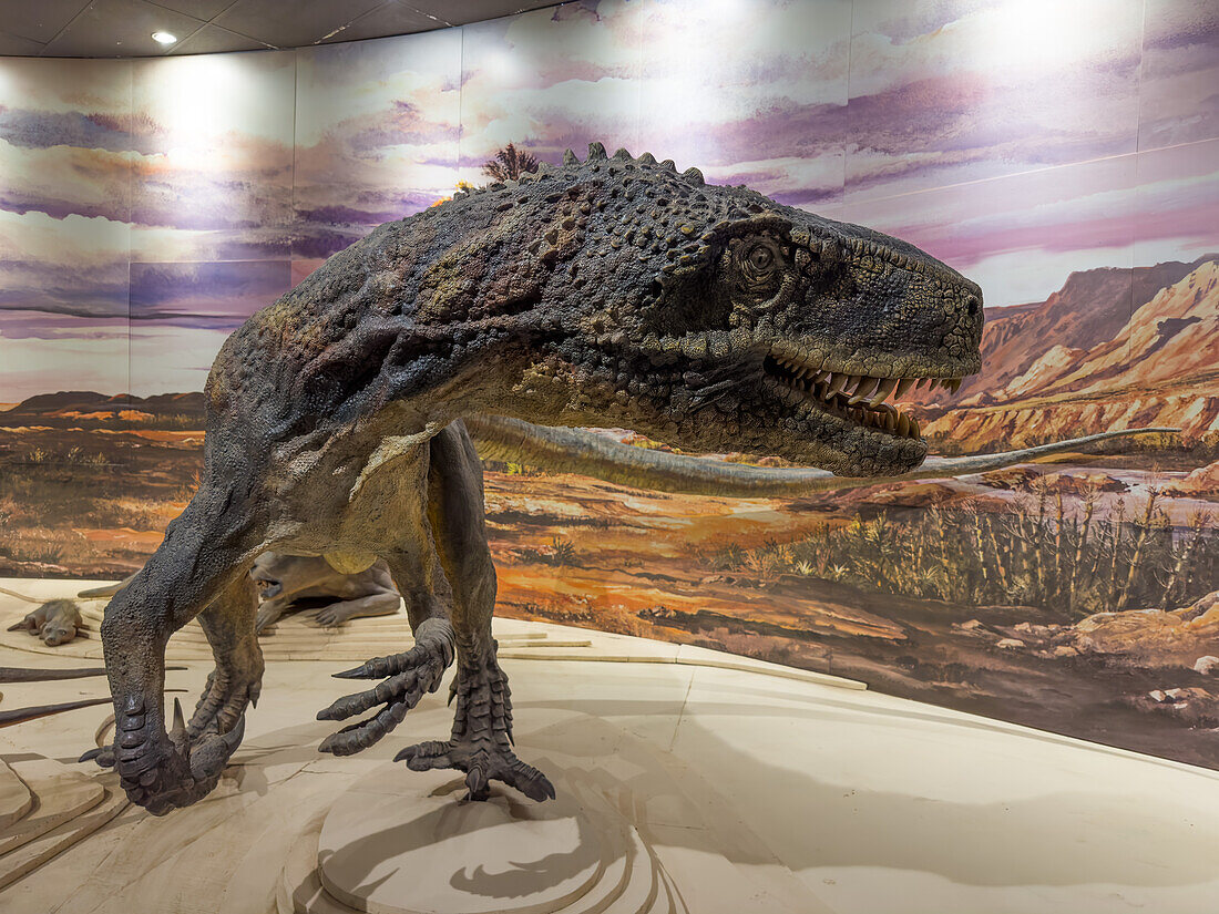 Model of a Sanjuansaurus gordilloi, a dinosaur from the Triassic Period in the museum of Ischigualasto Provincial Park in Argentina.