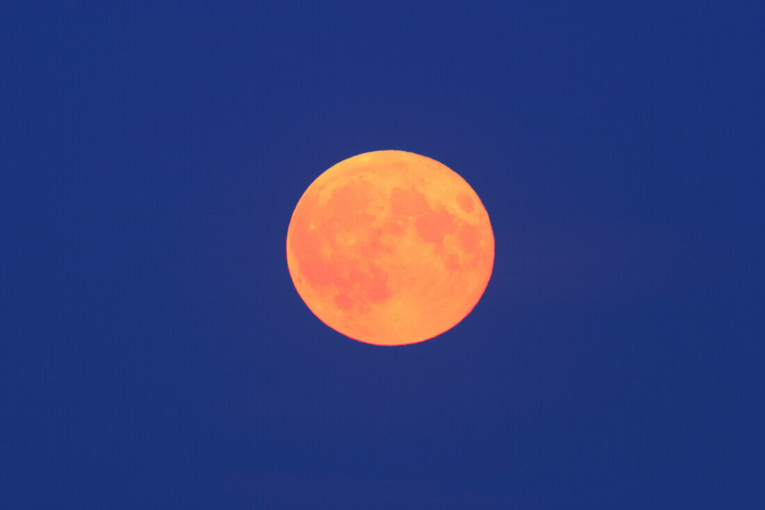 Colors have not been exaggerated or faked in -- sky was blue, moon was orange.