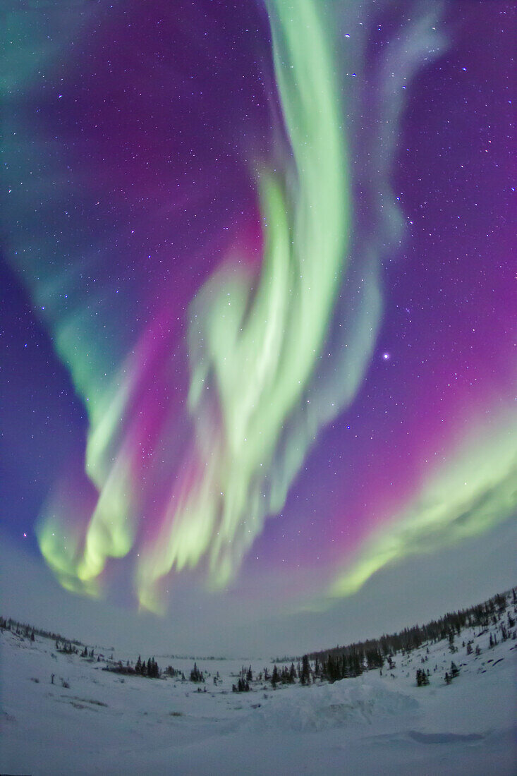 The Northern Lights on Feb 16, 2015, as seen from the Churchill Northern Studies Centre, in Churchill, Manitoba at 58° latitude, and under the auroral oval. The aurora appeared as skies cleared somewhat during a blizzard with high winds and blowing snow conditions. I shot these from the second floor deck of the Centre, out of the wind and off the ground. Jupiter is at right, the Big Dipper at left.