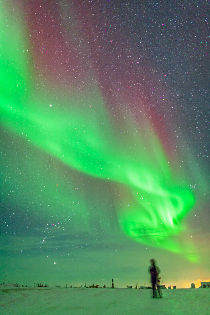 The aurora of February 3-4, 2014 seen from Churchill, Manitoba at the Churchill Northern Studies Centre, with an observer taking in the sight of the auroral curtains twisting through Orion (at left), Taurus (at right) and Auriga (top). This is a 6-second exposure at f/1.8 with the 24mm lens and ISO 2000 wth the Canon 5D MkII.