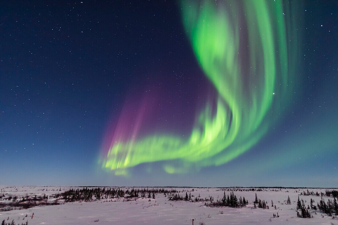 A superb display of aurora borealis seen on March 14, 2016 when it reached Level 5 storm levels. Here it begins in the evening twilight and in the light of the 6-day-old Moon. Jupiter is at right. This view is looking east.