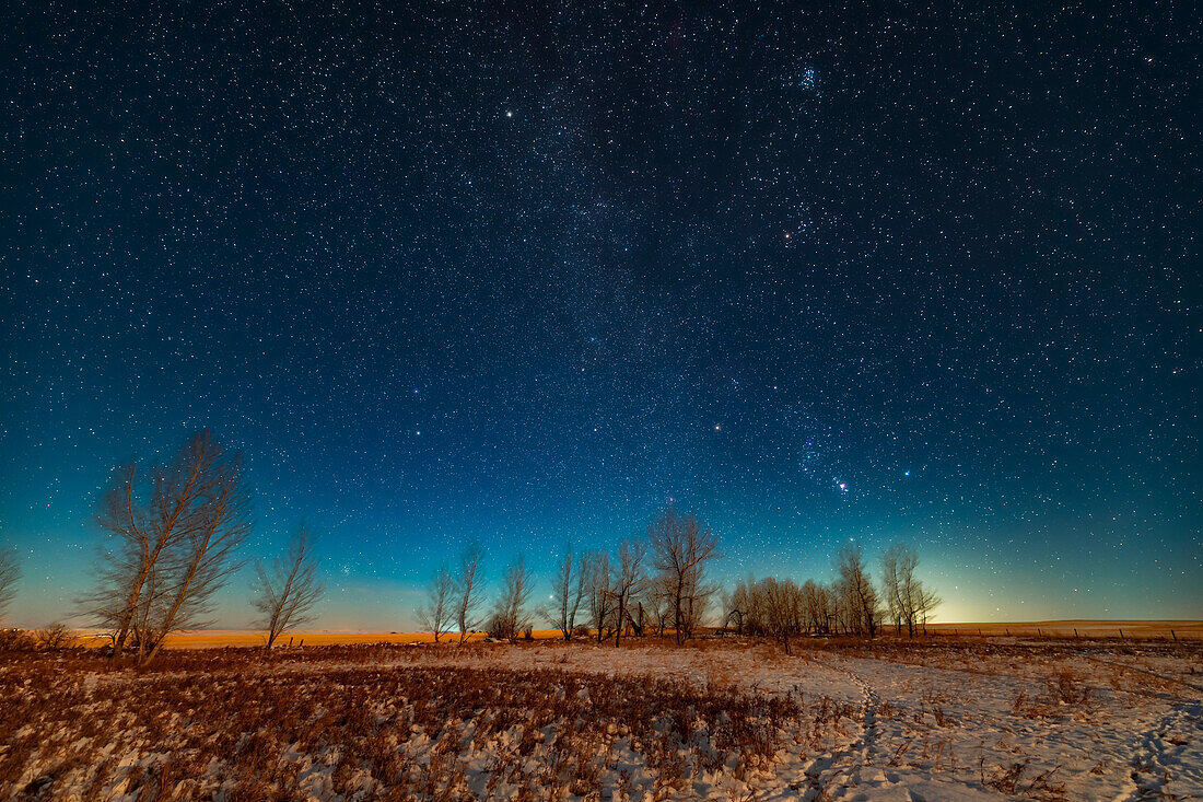 Orion und die Wintersterne und Sternbilder, die im Licht des ersten Viertelmondes am 2. Dezember 2019 aufgehen. Dies war von zu Hause in Alberta. Orion befindet sich über den Bäumen mit Aldebaran im Stier und den Plejaden über ihm. Oben links ist der Stern Capella und das Sternbild Auriga zu sehen. Links von der Mitte befinden sich Castor und Pollux in Zwillinge. Zwischen den Bäumen erhebt sich gerade Procyon in Canis Minor. Sirius und Canis Major waren noch nicht aufgegangen. Der Zeitpunkt ist gut gewählt, um vier der besten Sternhaufen in einer Reihe am Himmel einzufangen, mit dem Bienenstoc