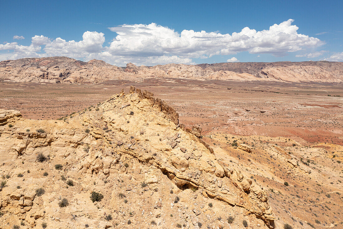 A sandstone rock formation with a thin fin resembling a stegasaurus back in the San Rafael Desert in Utah. San Rafael Reef is behind.