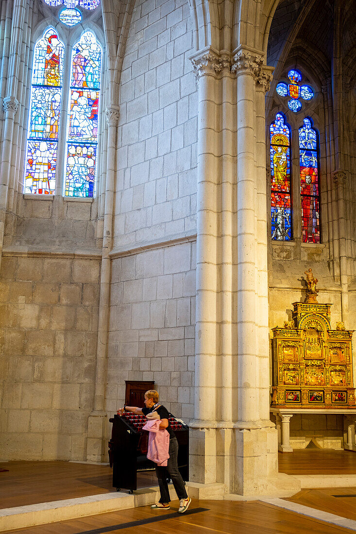 Geführte Besichtigung, in Catedral Vieja, oder Catedral de Santa Maria, Vitoria, Gasteiz, Álava, Baskenland, Euskadi, Euskal Herria, Spanien