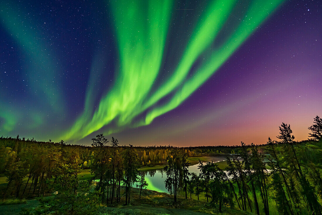 Die Vorhänge einer frühabendlichen Aurora beginnen in der Dämmerung zu tanzen, während der westliche Himmel vom Mondlicht des zunehmenden Gibbous-Mondes erhellt wird, der tief am Himmel und rechts außerhalb des Bildes steht. Seine geringe Höhe projiziert eine warme Beleuchtung auf die herbstlich gefärbte Szene. Dies ist vom Cameron River Aussichtspunkt am Ramparts Falls Trail auf dem Ingraham Trail in der Nähe von Yellowknife.