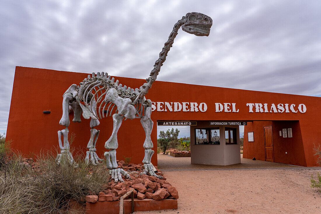 Ein rekonstruiertes Skelett von Lessemsaurus sauropoides am Triassic Trail im Talampaya National Park, Argentinien.