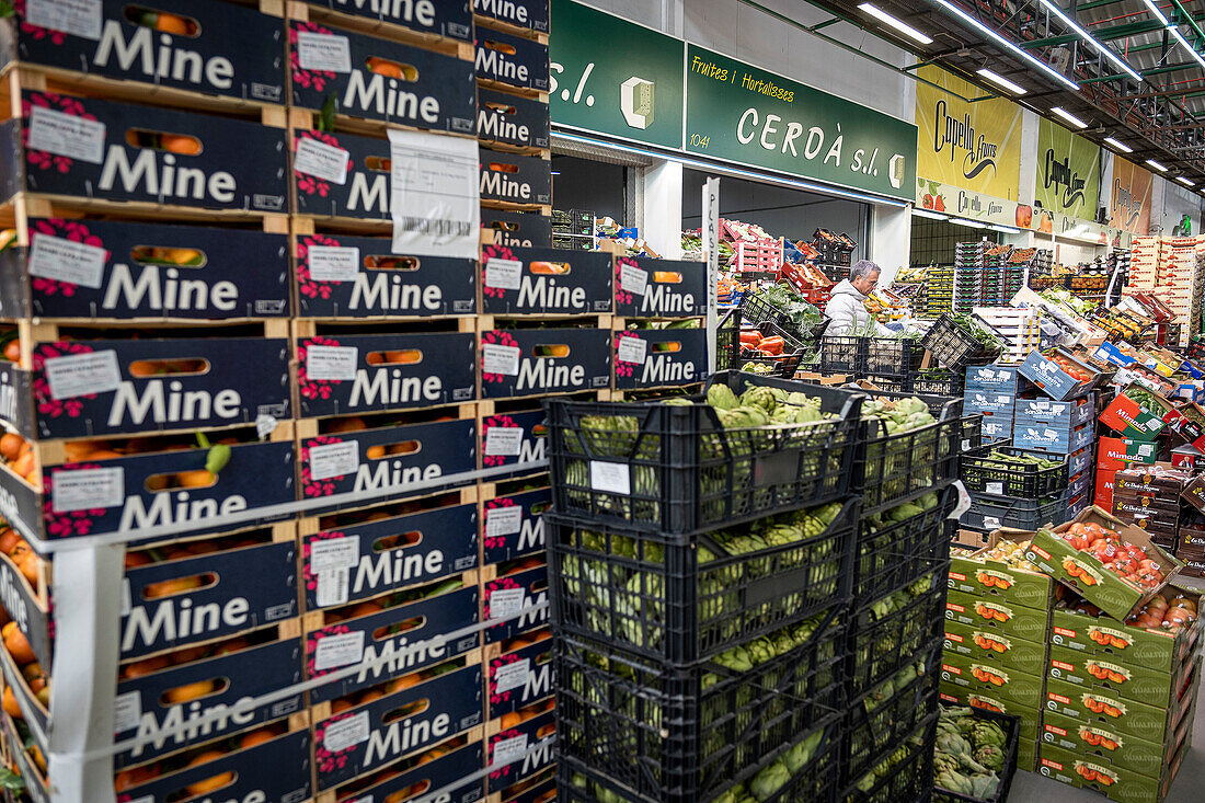 Obst- und Gemüseabteilung, in der Mercabarna. Barcelonas zentrale Märkte. Barcelona. Spanien